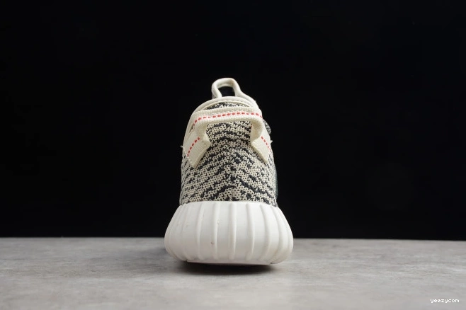 Dove YEEZY AQ4832 Turtle 350 Adidas Boost 1210